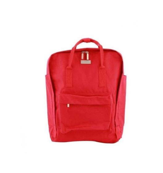 Double Laptop Backpack WK Red WT-B10